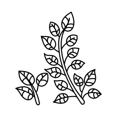 Elle çizilmiş tasarımda doğal bitki vektörü 