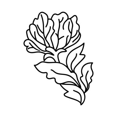 Çizim tasarımında çiçek sanat vektörü 