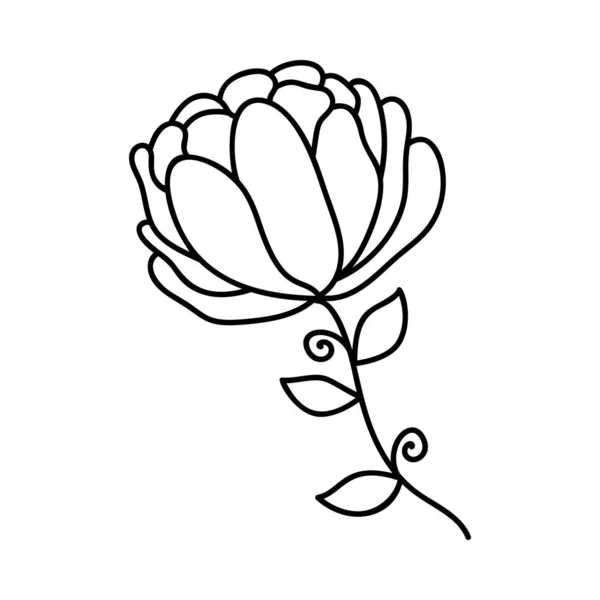 Rosa Vector Planta Diseño Dibujo — Archivo Imágenes Vectoriales