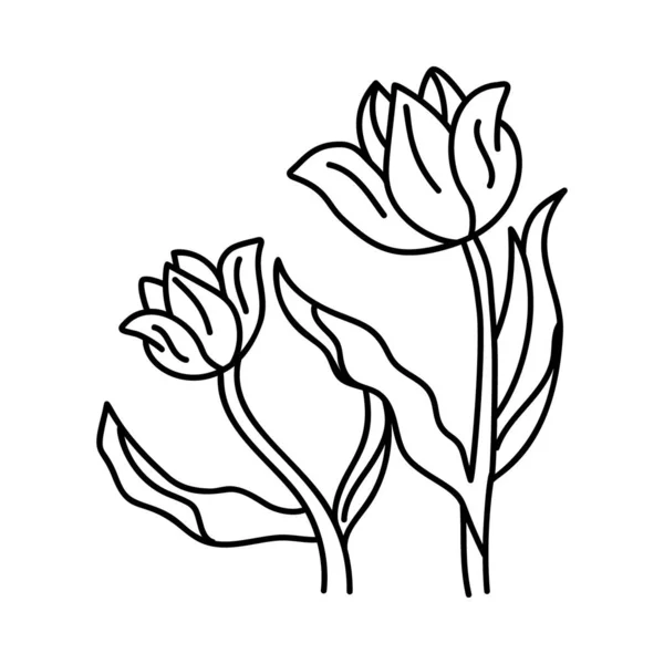 Rosenpflanzenvektor Zeichnungsentwurf — Stockvektor