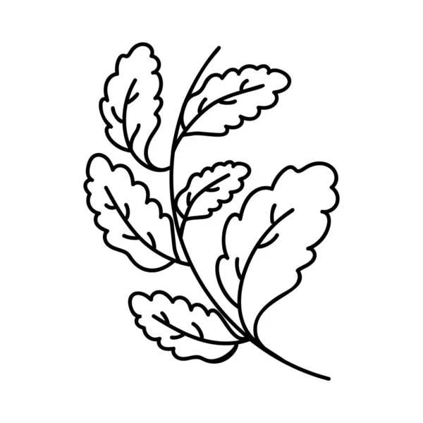 Ботанический Цветочный Векторный Дизайн — стоковый вектор