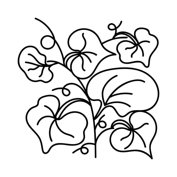 Botanisches Blumenpflanzenvektordesign — Stockvektor