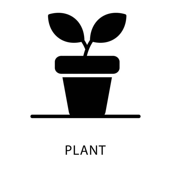 Glyph Ontwerp Van Flower Pot Icon — Stockvector