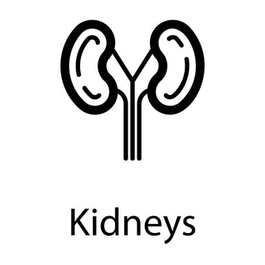 Çizgi tasarımında insan böbrekleri vektörü 