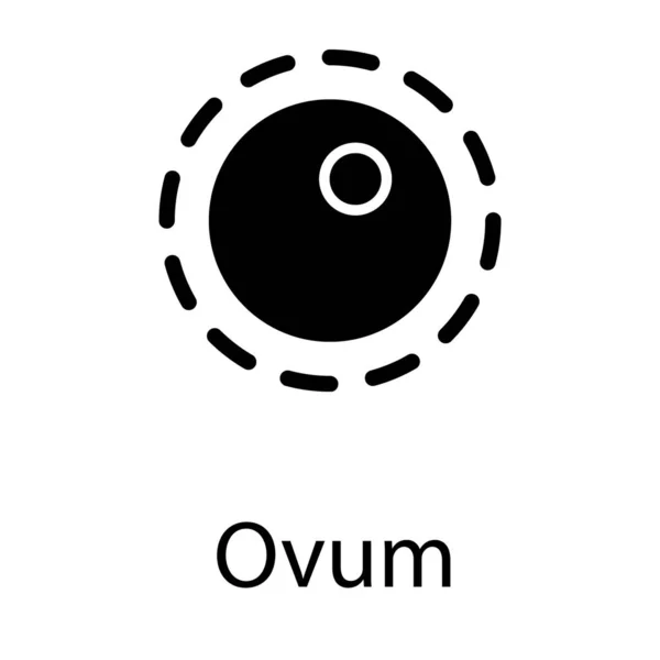 Desenho Vetor Fertilização Ovum Mulher — Vetor de Stock