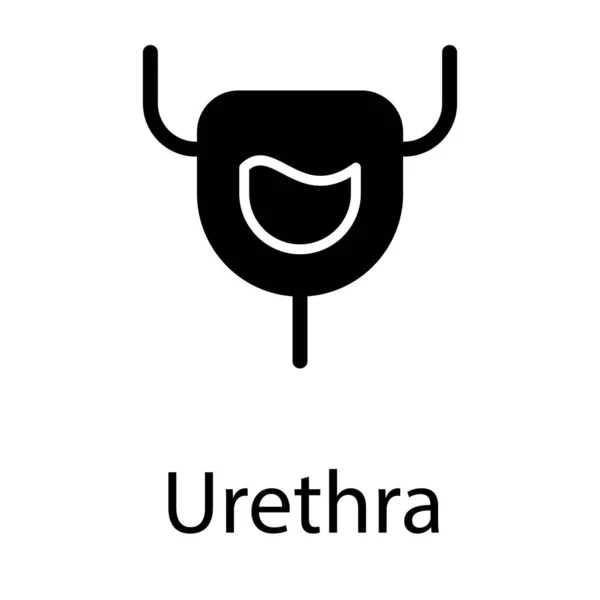 Urethra Blaas Vector Solide Ontwerp — Stockvector