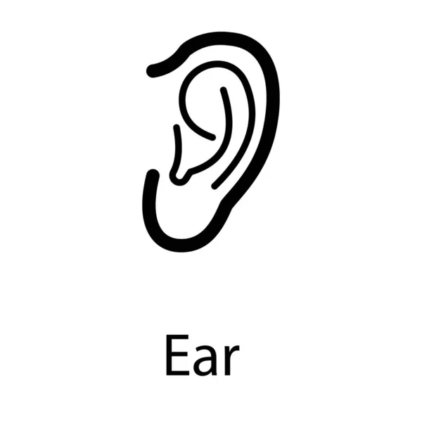 Oído Vector Órganos Diseño Línea — Vector de stock