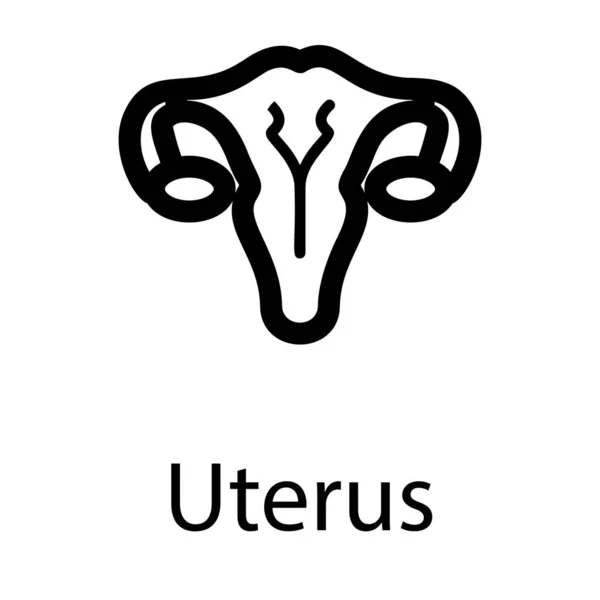 Vrouwelijke Baarmoeder Vector Lijn Ontwerp — Stockvector