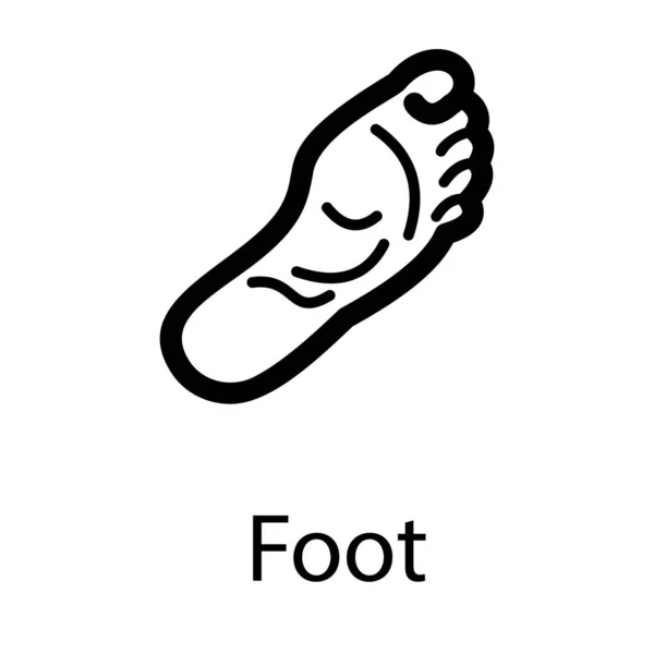 Human Foot Vector Line Design — Stock Vector