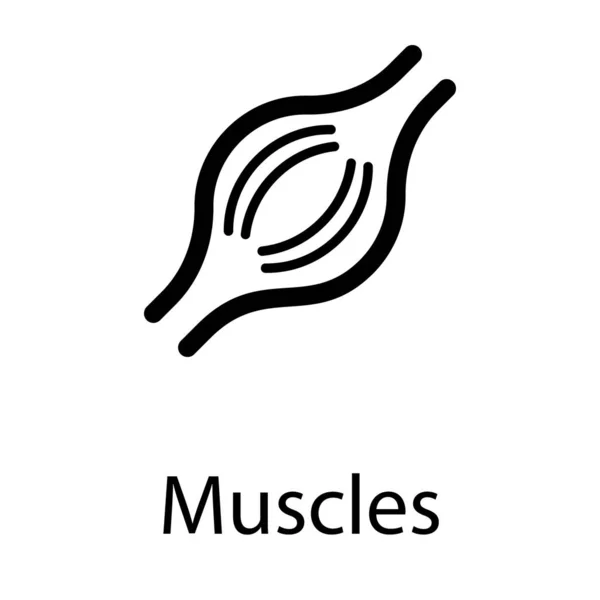 Vector Muscular Articular Línea Diseño — Vector de stock