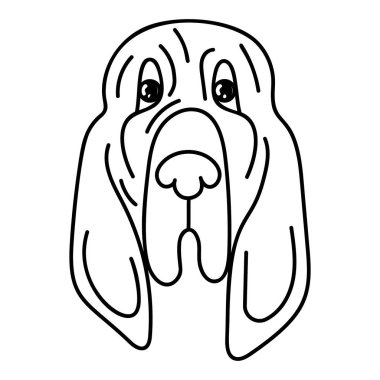 Collie köpek portre vektör tasarımı 