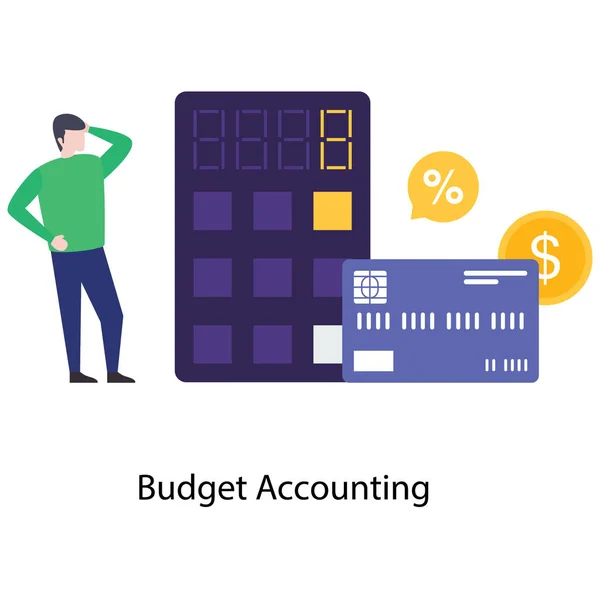Budget Accounting Vector Plat Ontwerp — Stockvector