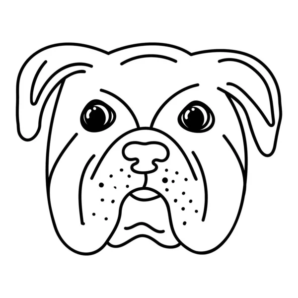 Portrait Bulldog Domestique Dessiné Main — Image vectorielle