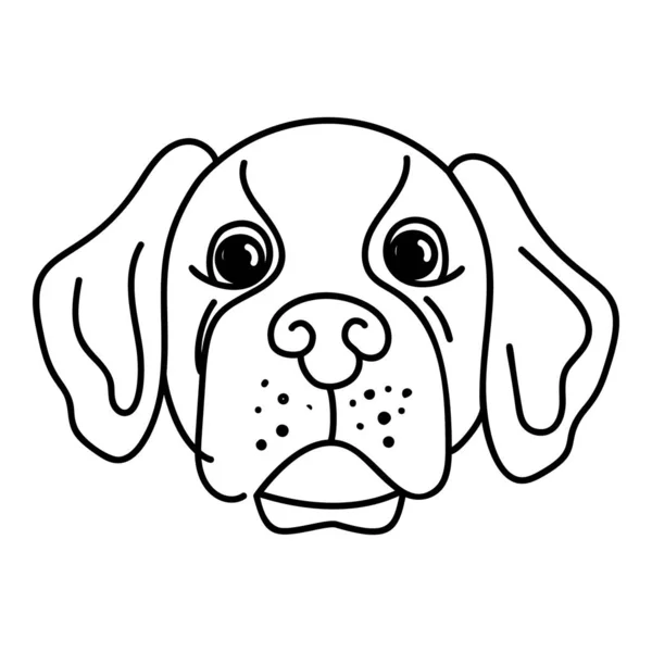 Basset Hound Dog Vector Portret Ontwerp — Stockvector