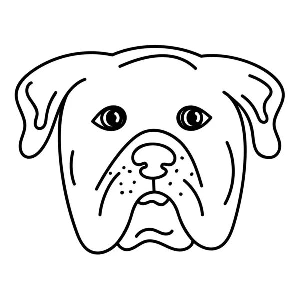 Binnenlandse Pug Dog Vector Ontwerp — Stockvector