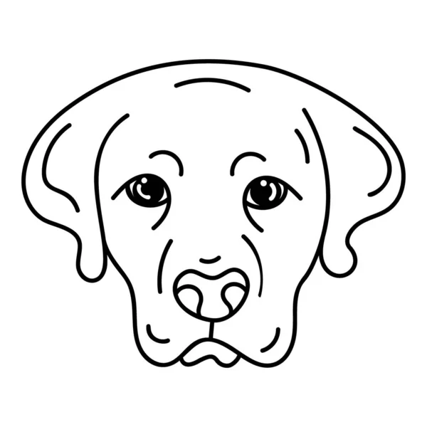 Handgezeichneter Beagle Dog Vektor — Stockvektor