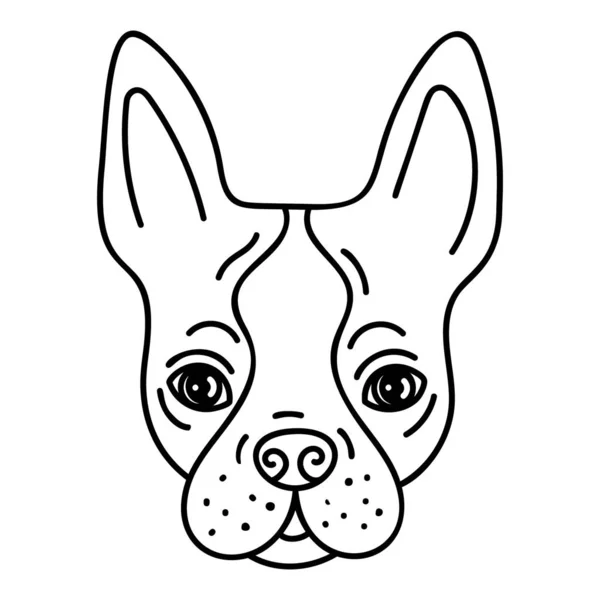 Hand Getekende Corgi Dog Vector — Stockvector