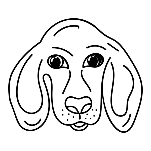 Hand Getekende Basset Hound Vector — Stockvector