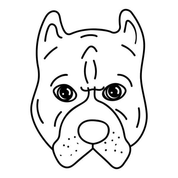 Hand Getrokken Binnenlandse Hond Vector — Stockvector