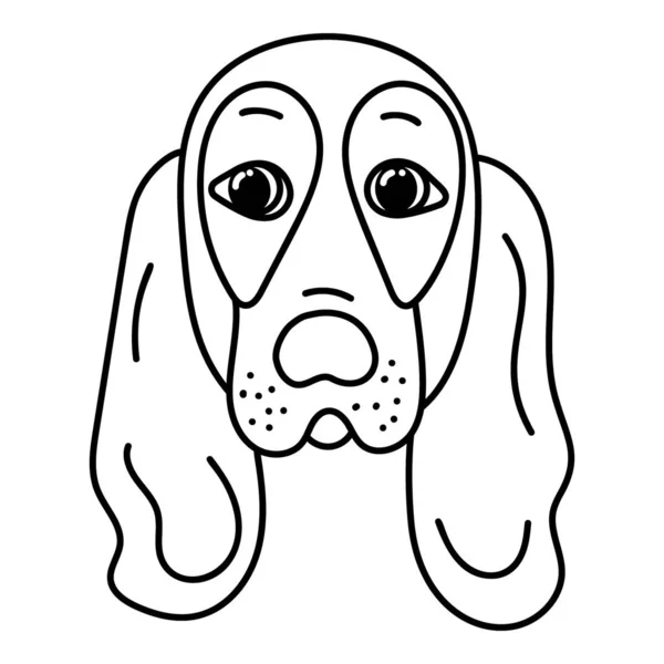 Hand Getekende Basset Hound Vector — Stockvector