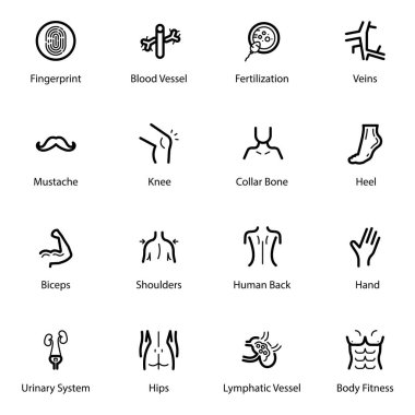 Şaşırtıcı, iç vücut organlarıkompakt paketi iyi insan anatomisi, biyoloji ve çok tıp alanında ihtiyaç için oluşturulur. Mutlu İndirme! 