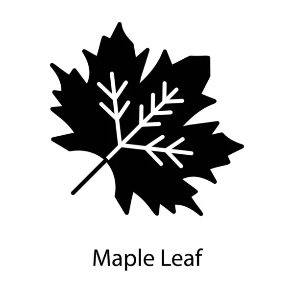 Maple Leaf Vector Solide Ontwerp — Stockvector