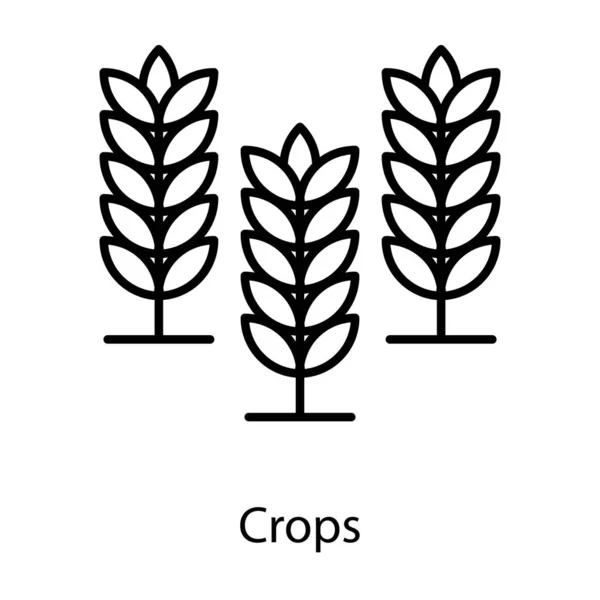 大麦作物ベクトルライン設計 — ストックベクタ