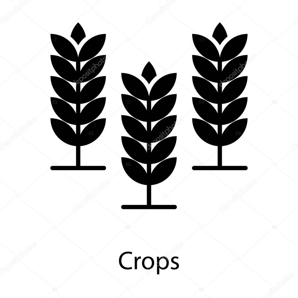 Barley crop vector solid design 