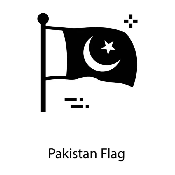 Pakistan Bayrağı Sağlam Tasarım Simgesi — Stok Vektör