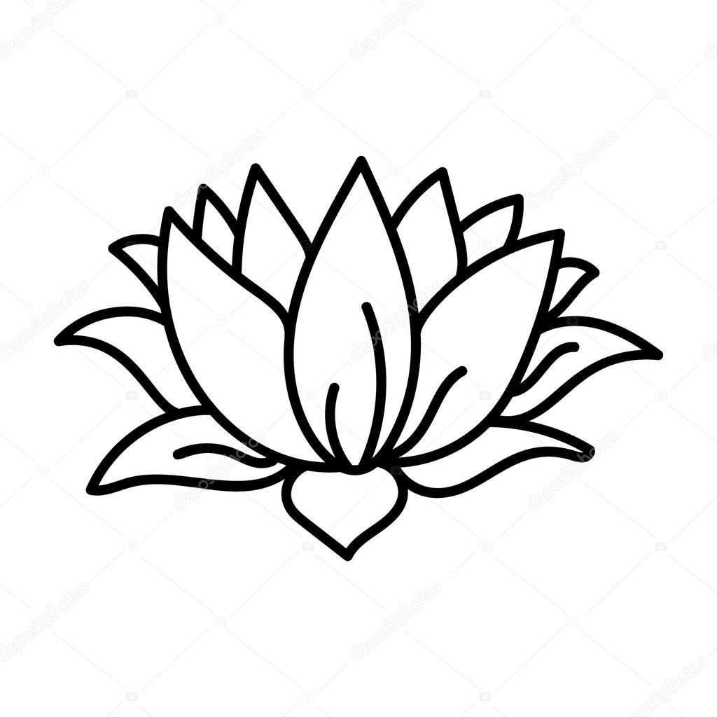 Hand drawn natural flower vector 
