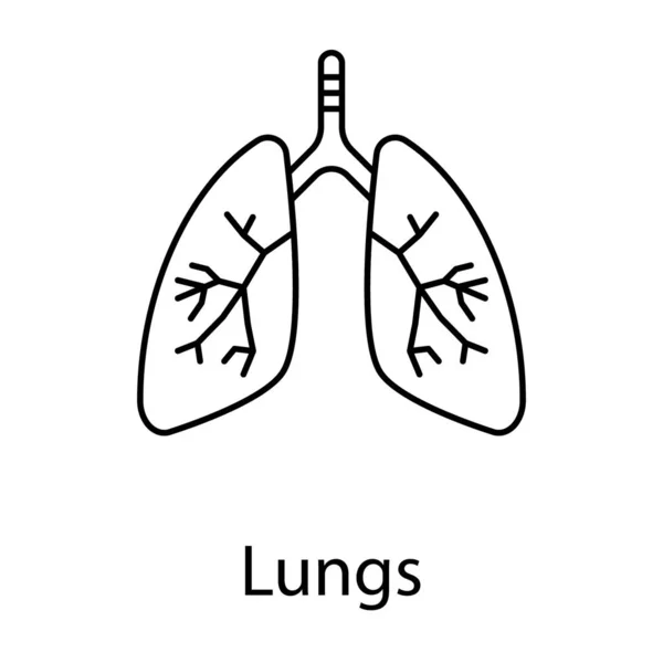 Órgano Humano Diseño Línea Icono Pulmones — Vector de stock
