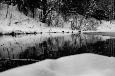 Açık dondurulmuş su ile kışın peyzaj Orman Gölü