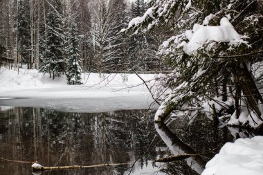 Açık dondurulmuş su ile kışın peyzaj Orman Gölü