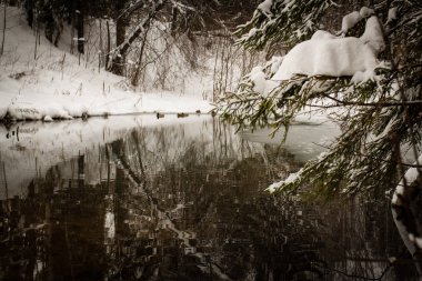 Açık dondurulmuş su ile kışın peyzaj Orman Gölü