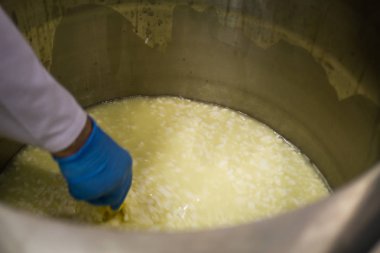 peynir yapma süreci