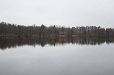 ağaçlar ile çevrili Orman Gölü manzarası