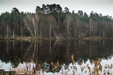 ağaçlar ile çevrili Orman Gölü manzarası