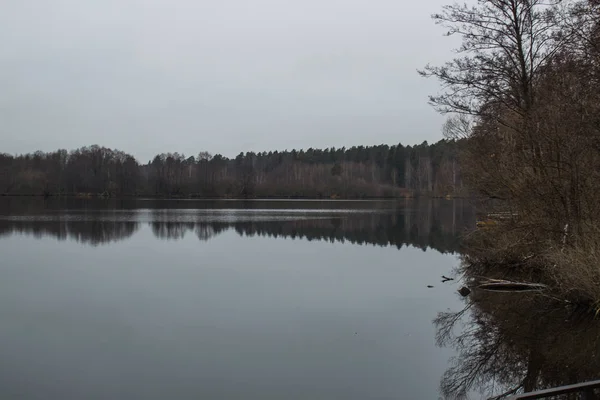 Pohled Lesní Jezero Obklopené Stromy — Stock fotografie