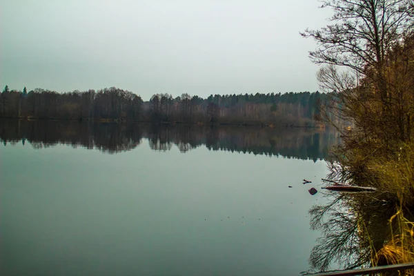 Vista Sul Lago Della Foresta Circondato Alberi — Foto Stock