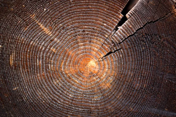 Die Struktur Eines Alten Holzstammes Der Beim Bau Der Kirche — Stockfoto