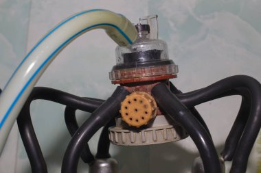 bir süt çiftliğinde inekler sağım için nabız toplayıcı