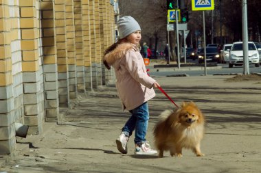 bir köpek ırkı Spitz ile şehirde bir yürüyüş küçük kız