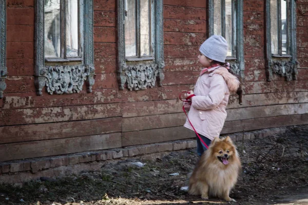 a little girl on a walk in the city with a dog breed Spitz looking out the window of an old wooden house