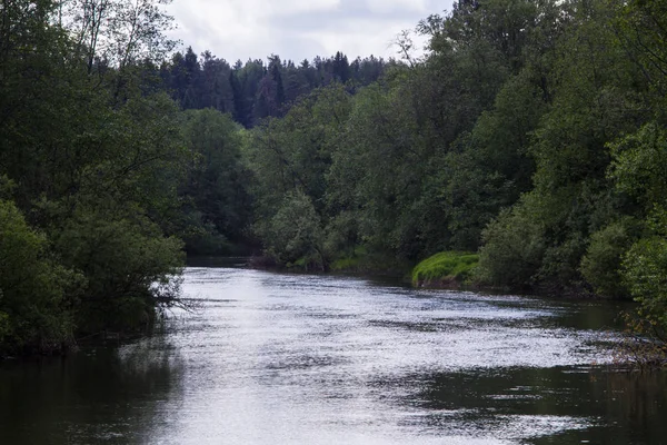 Forest Kleine Rivier Landschap Zomer — Stockfoto