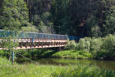 yaz aylarında orman küçük nehir manzara