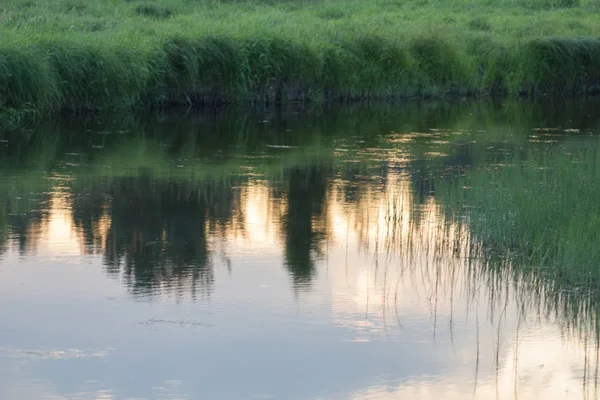 Coucher Soleil Été Dans Rivière Dans Forêt — Photo