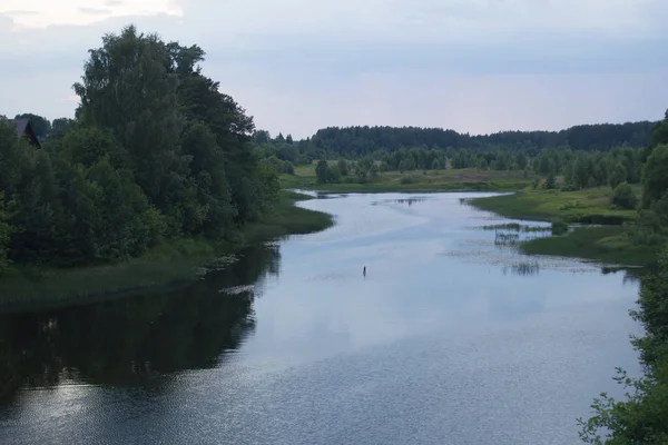 Coucher Soleil Été Dans Rivière Dans Forêt — Photo