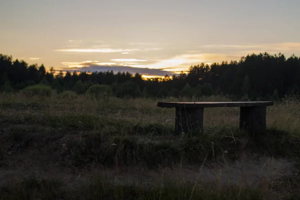 Coucher Soleil Été Dans Rivière Dans Forêt — Photo