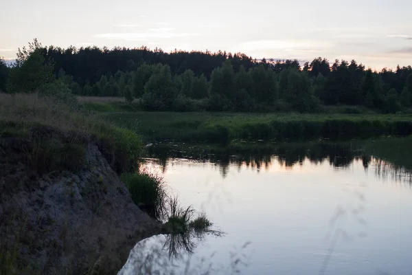 Zomer Zonsondergang Rivier Het Bos — Stockfoto