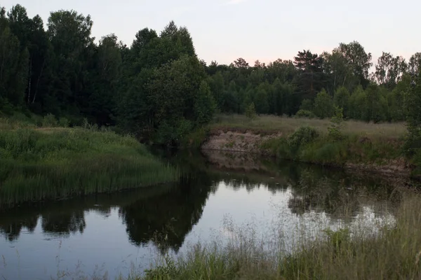 Coucher Soleil Été Dans Rivière Dans Forêt — Photo